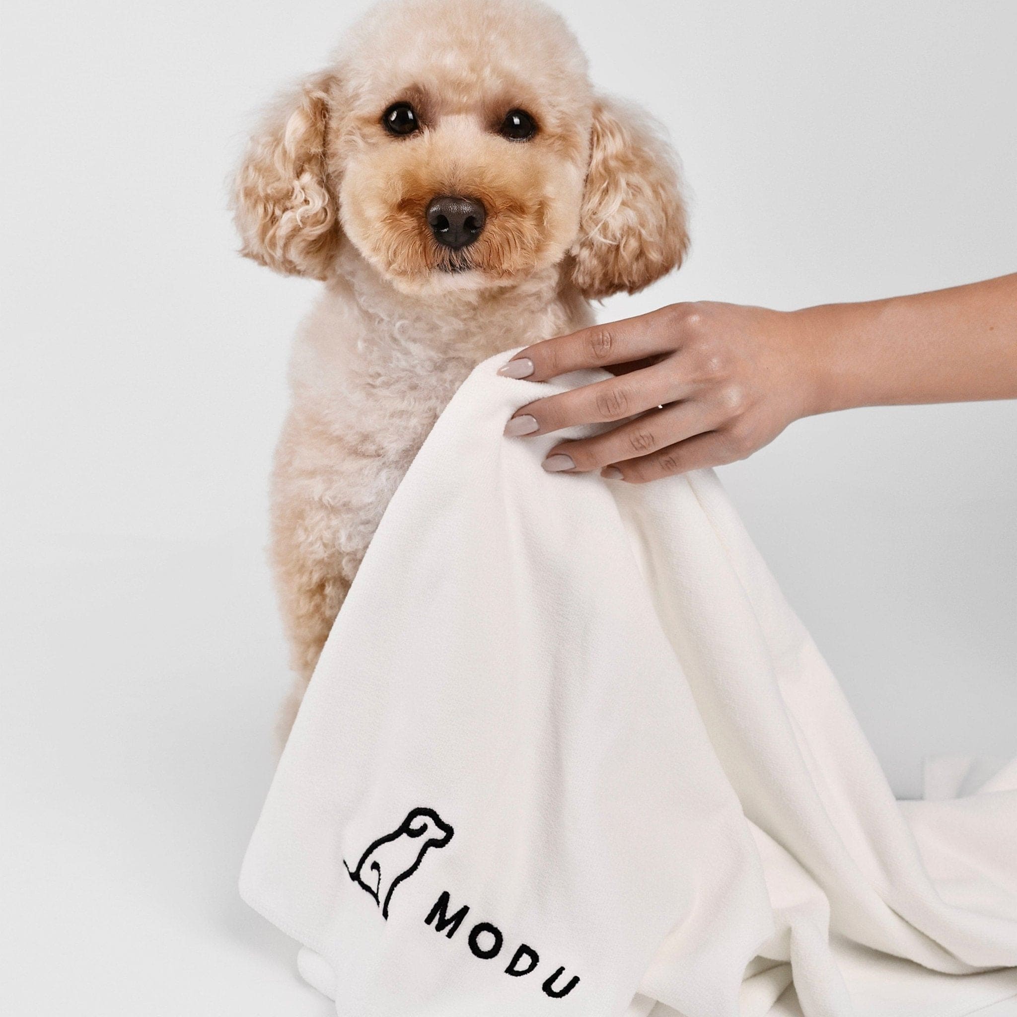 DELUXE PET TOWEL