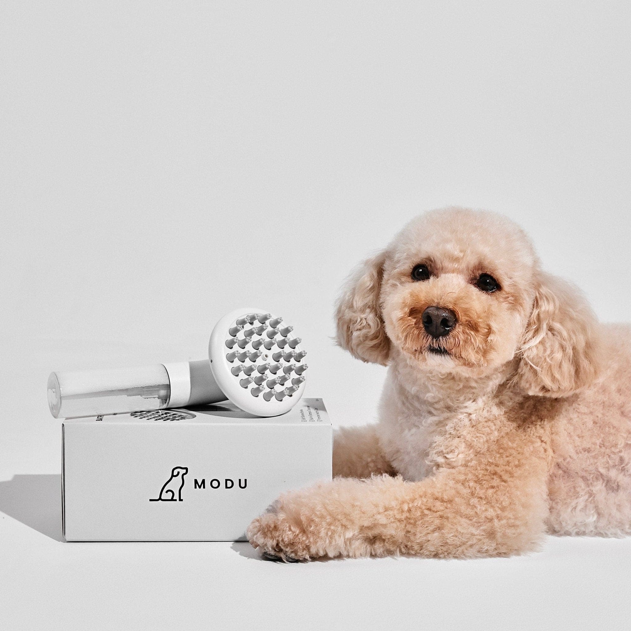 BATH MASSAGE BRUSH