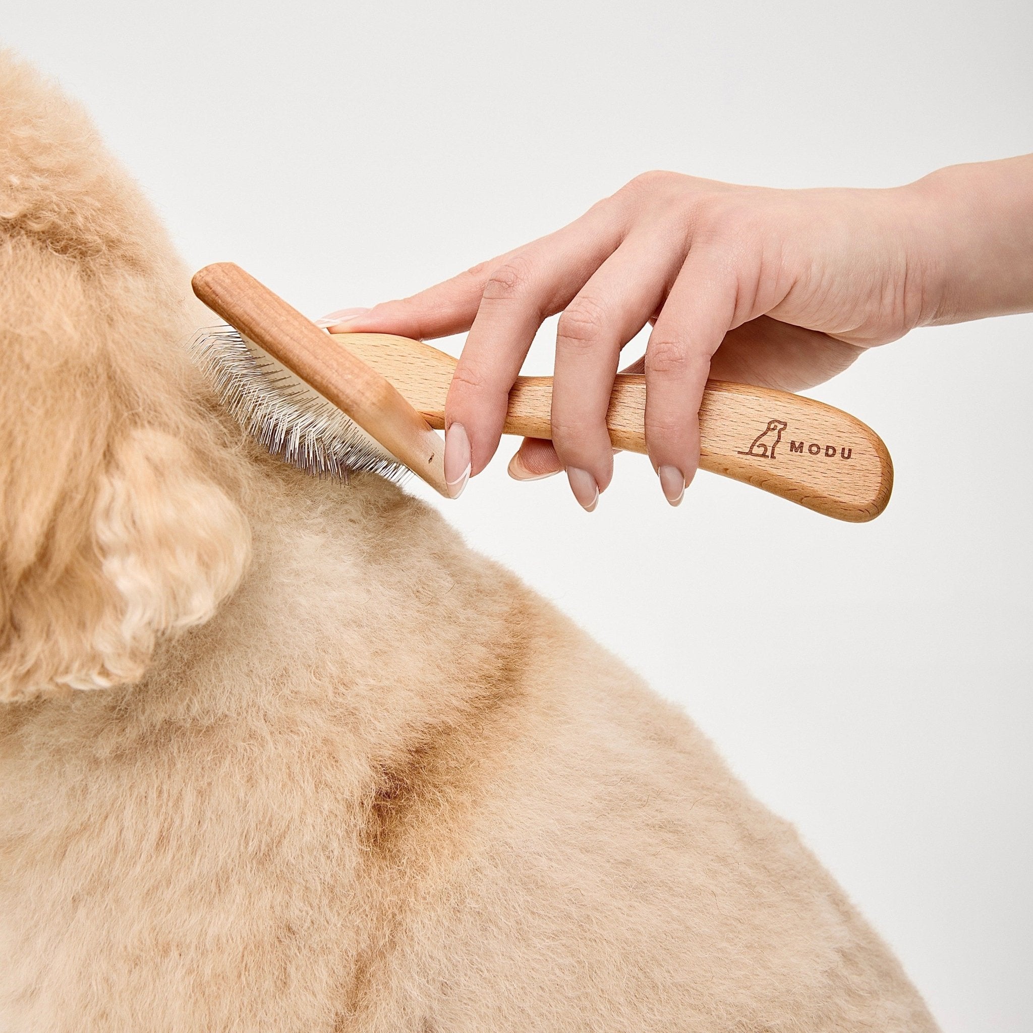 THE FLEXI BRUSH