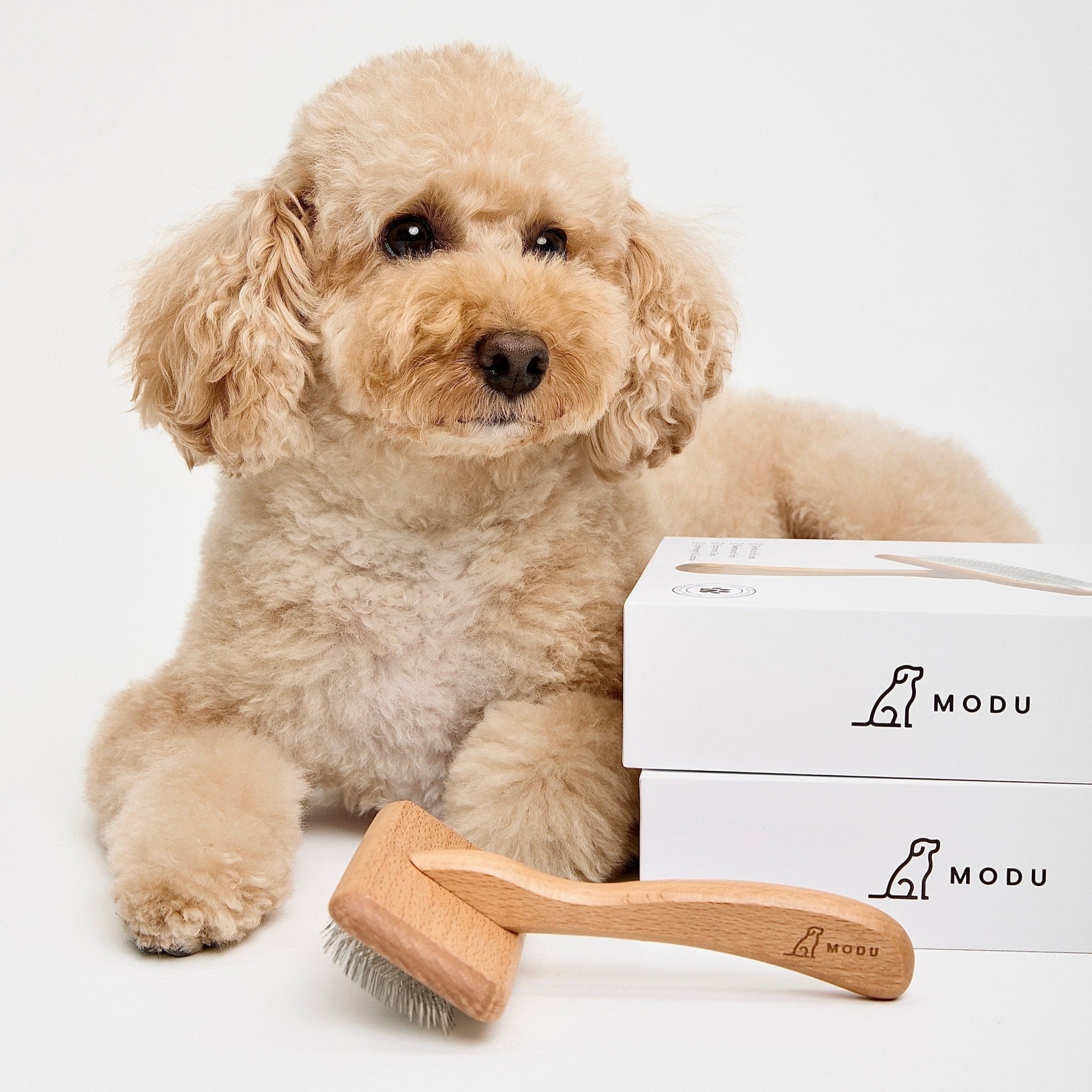 THE FLEXI BRUSH
