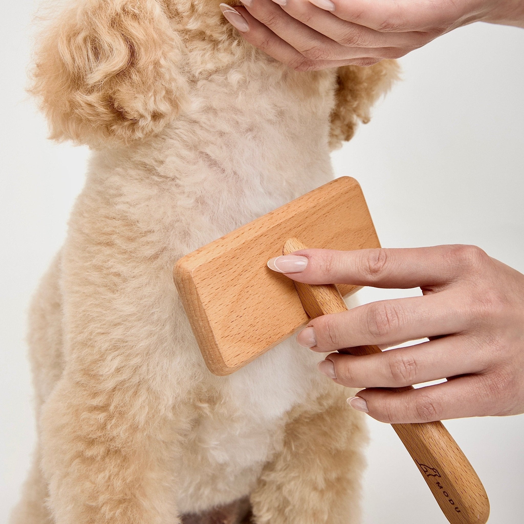 THE FLEXI BRUSH