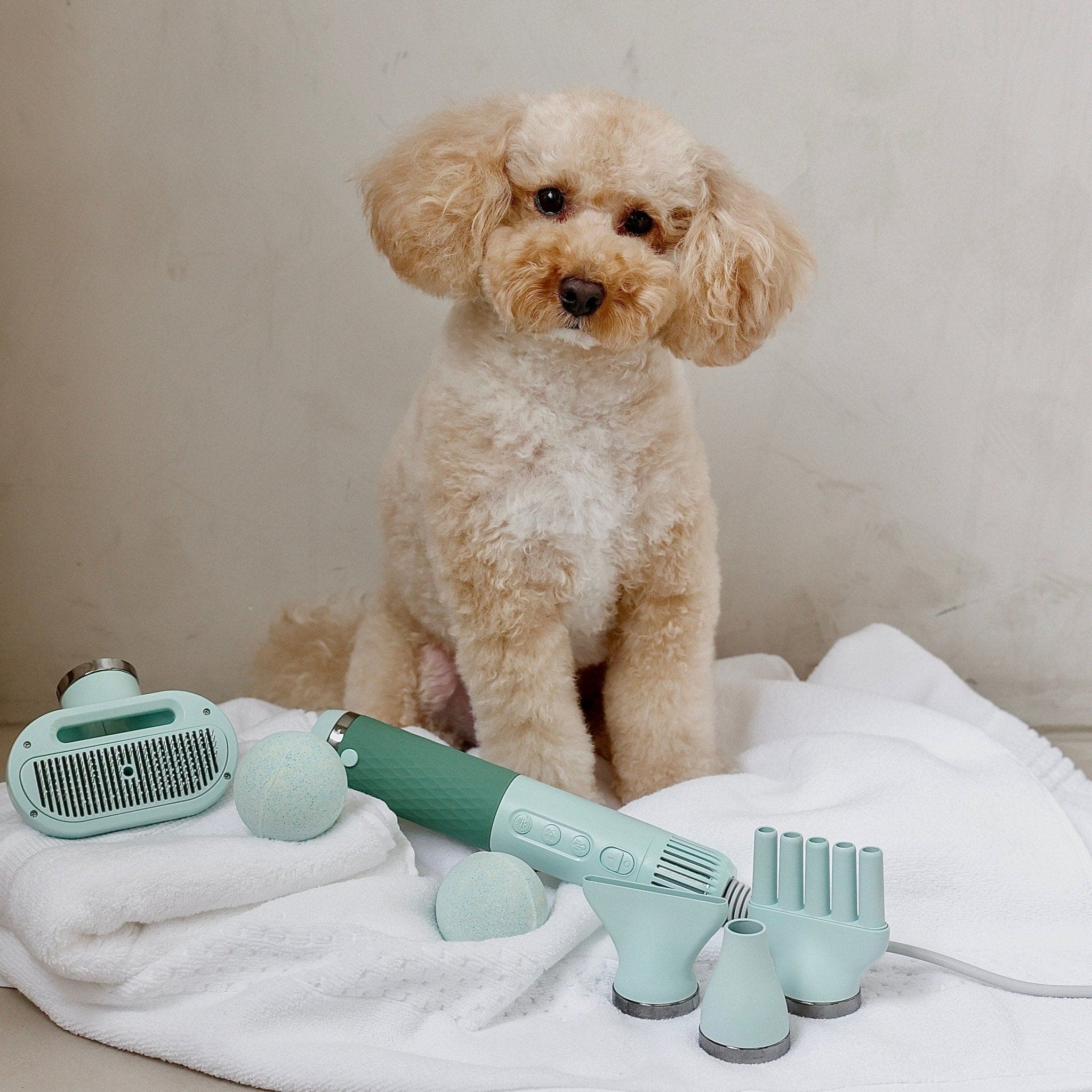 SMART PET DRYER