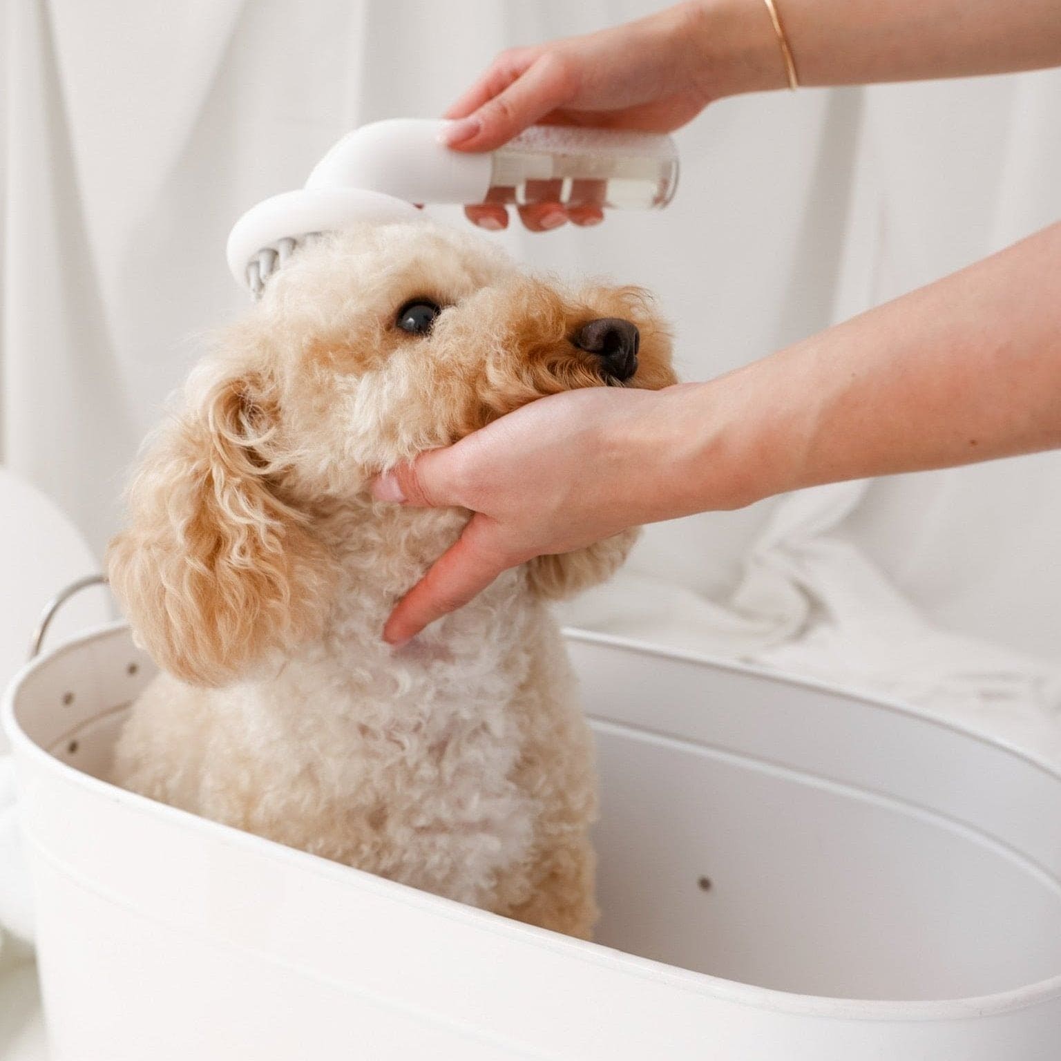 BATH MASSAGE BRUSH